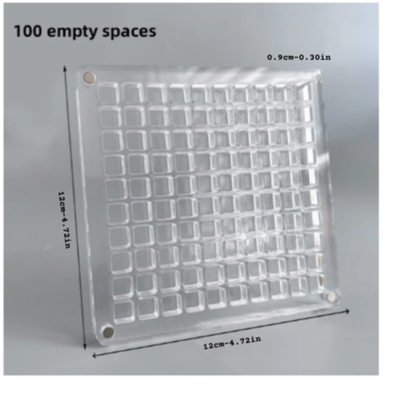 Exponha suas conchas com estilo e segurança 