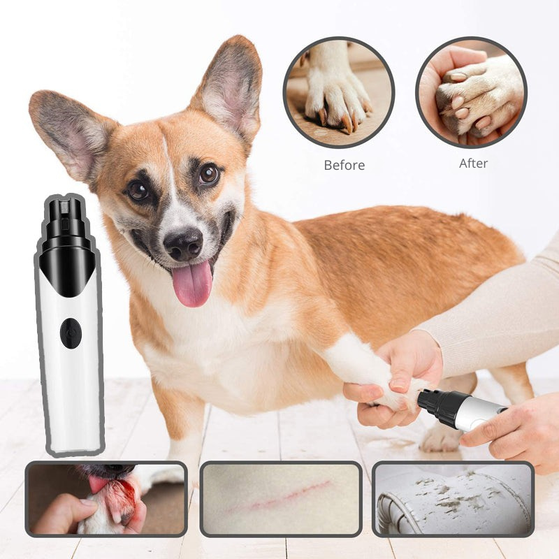 Lima de unhas sem estresse para o seu animal 