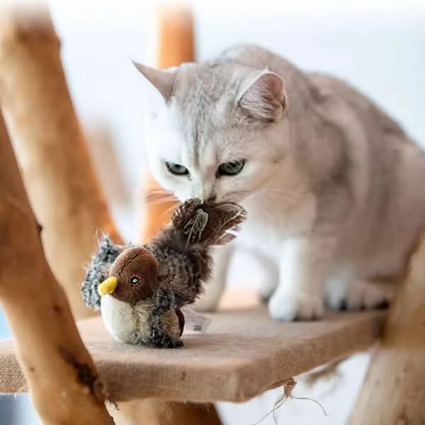 Stimulieren Sie den natürlichen Instinkt Ihrer Katze 