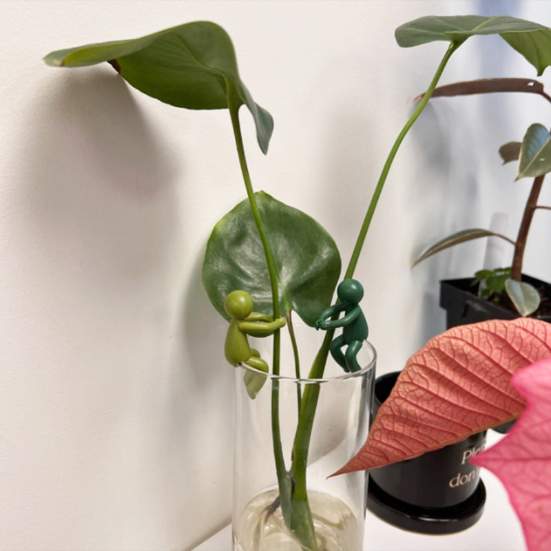 Wsparcie dekoracyjnych i elastycznych sadzonek roślin (x3) 