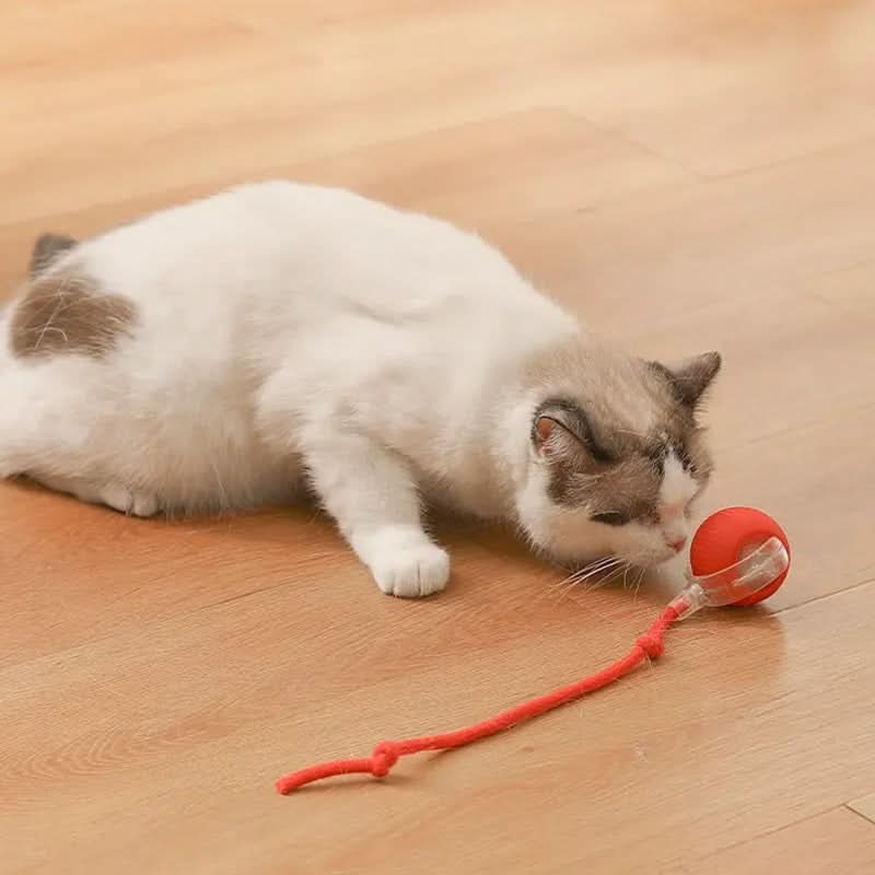 Brinquedo saltitante para gatos ativos e curiosos 